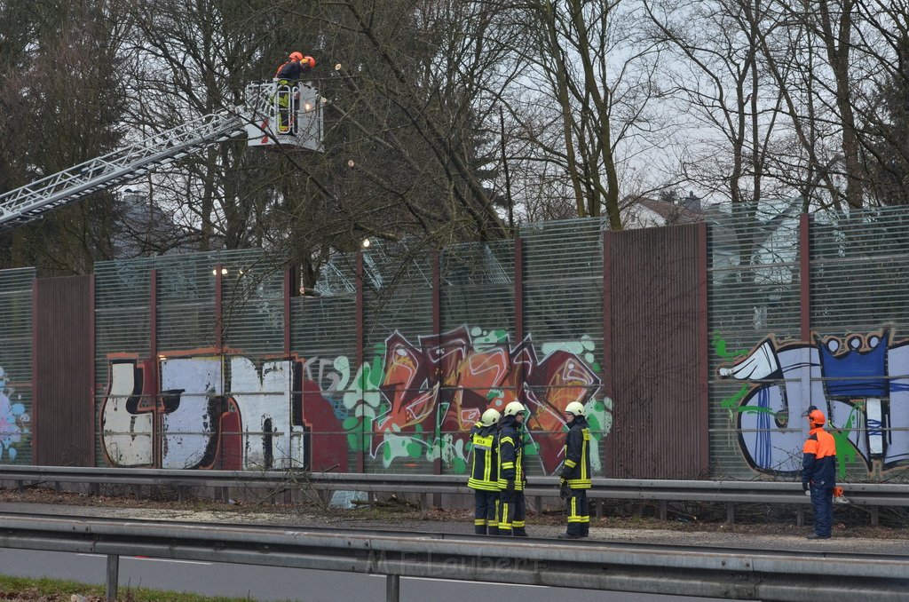 Einsatz BF Baum Koeln Vingst Vingster Ring P28.JPG - Miklos Laubert